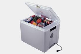 Electric Coolers- The New Refrigerators, Full Review & Price in Nigeria nnigeriantech.com.ng