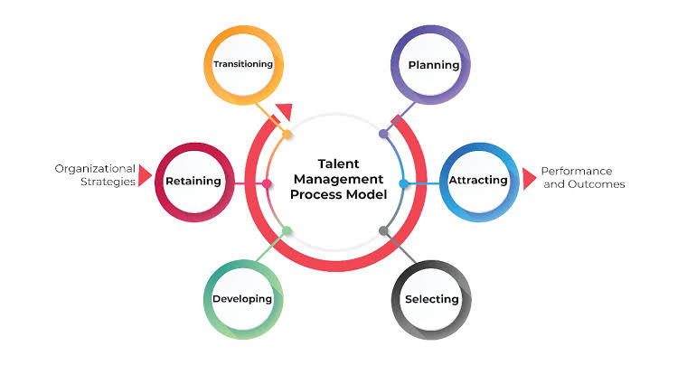  Characteristics Of Talent Management In nigeria Nigeriantech.com.ng