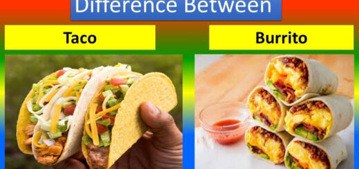 Difference between taco and Burrito Nigeriantech.com.ng