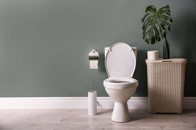 How to change wax ring on toilet in nigeria Nigeriantech.com.ng