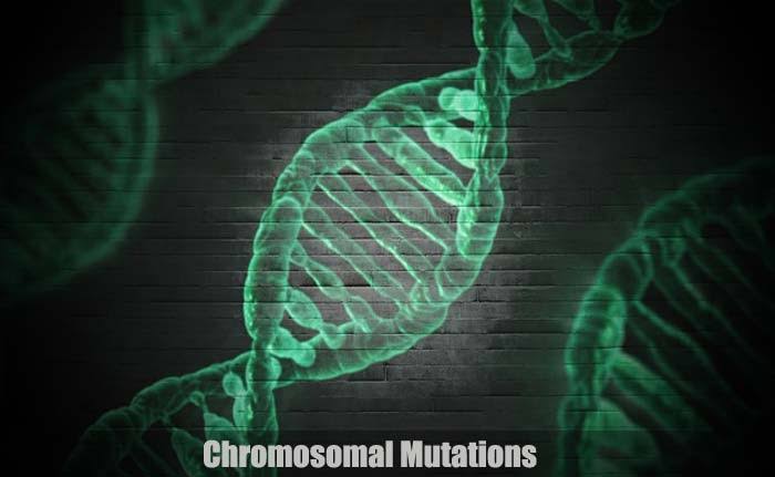 Chromosomal mutations in nigeria Nigeriantech.com.ng