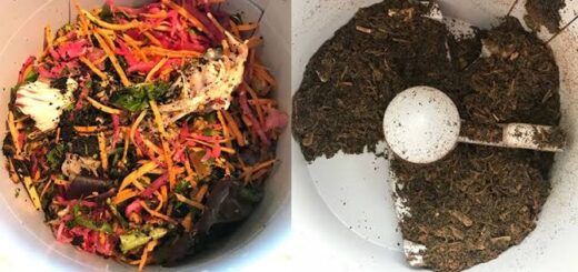 How to know when compost is ready in Nigeria Nigeriantech.com.ng