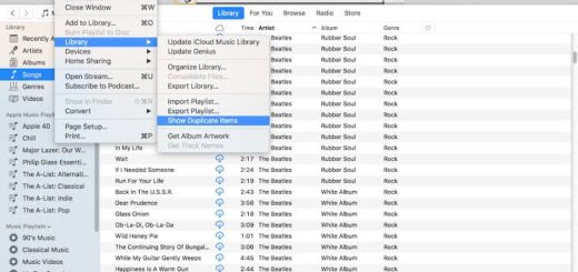 How to remove duplicate songs in iTunes Nigeriantech.com.ng