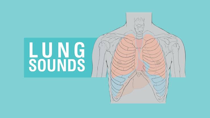 Types of lung sounds Nigeriantech.com.ng