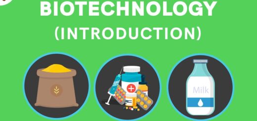 Biotechnology what it is & how it Works (2023) Nigeriantech.com.ng