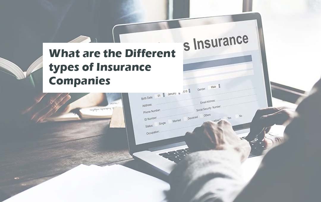 What are the Different types of Insurance Companies Nigeriantech.com.ng